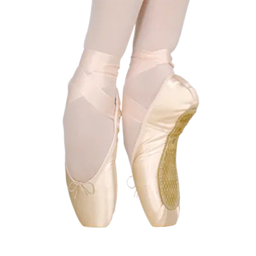 Nikolay Grishko Miracle Pointe Shoe