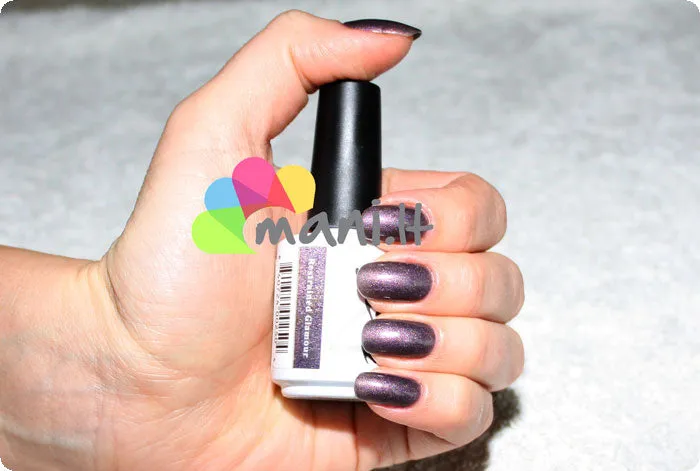 Restrained Glamour * NSI Polish Pro