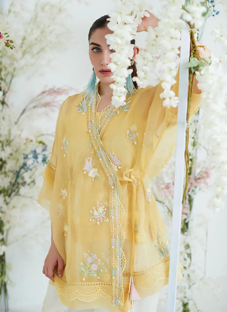 Tara Collection 23 - Clarita Lemon Organza Wrap