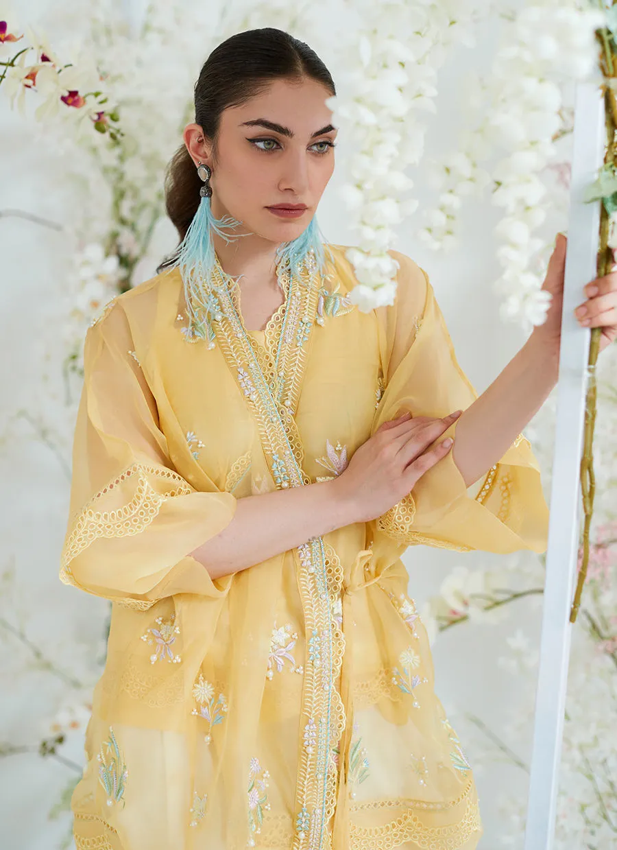 Tara Collection 23 - Clarita Lemon Organza Wrap